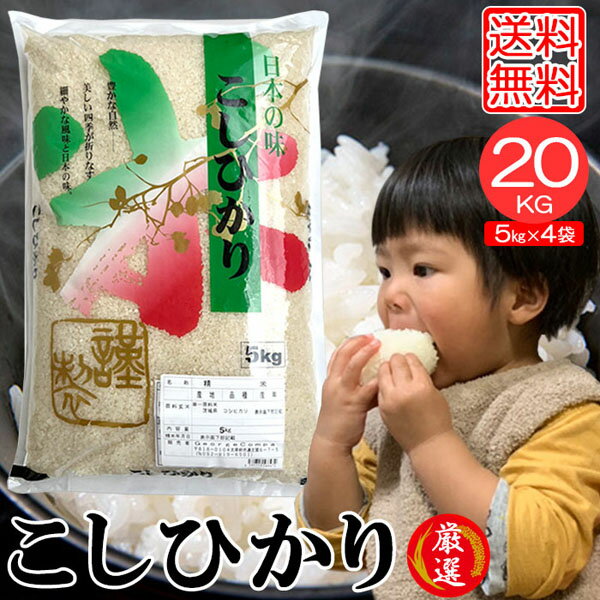 米20kg 米 お米 20kg コシヒカリ こしひかり 5kg×4袋 セット 送料無...