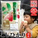 人気ランキング第11位「TREND-I　楽天市場店」口コミ数「0件」評価「0」米20kg 米 お米 20kg コシヒカリ こしひかり 5kg×4袋 セット 送料無料 こめ 小分け 精米 つきたて米 宮崎県産