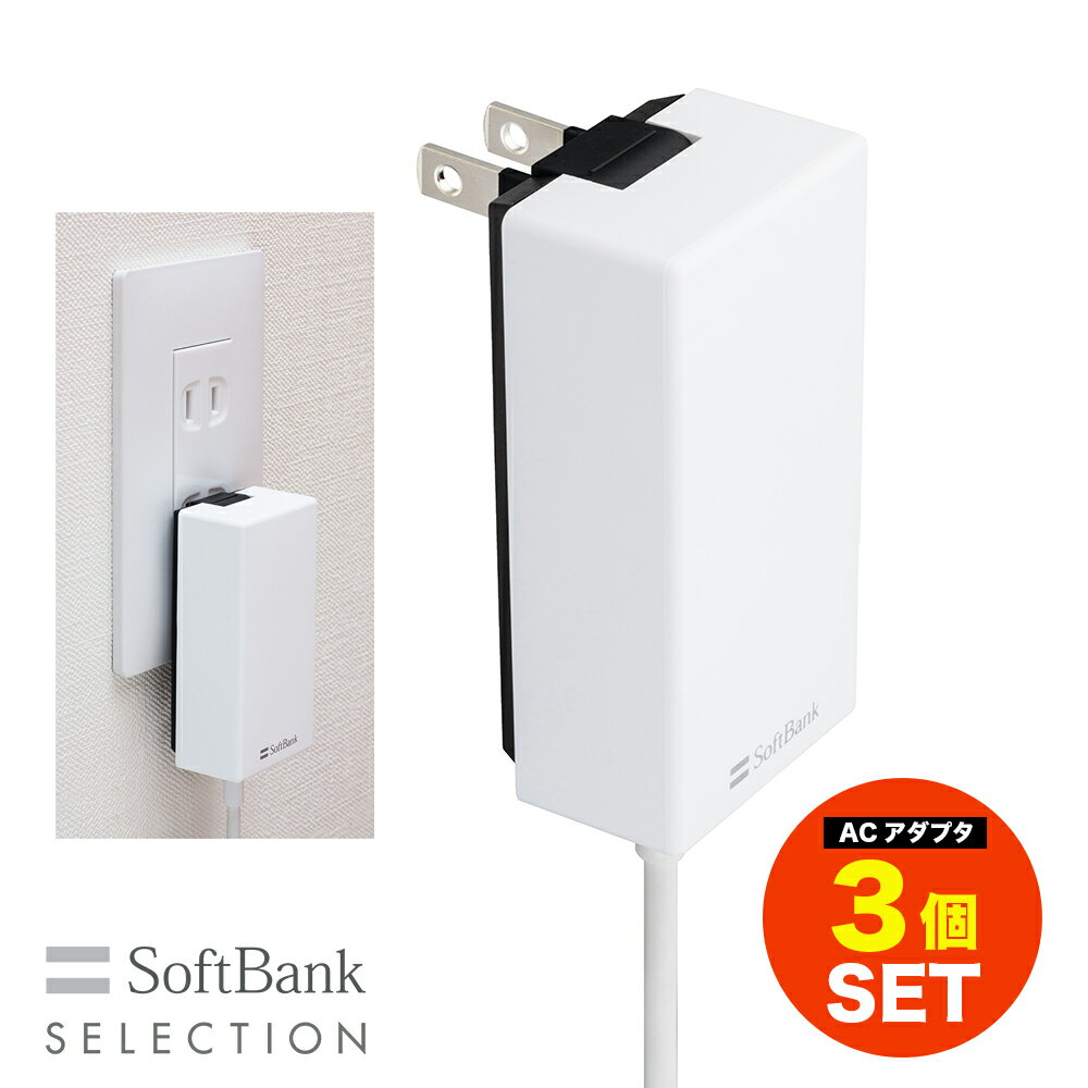 SoftBank SELECTION USB PD-PPSб USB Type-C(TM) ® ACץ 2ĥå