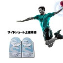 ハンドボール・サイドシュート上達革命【元・日本代表サイドプレイヤー下川監督 指導】DVD