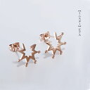 (イウハ) IUHA 【ミニスター】ピアス チタン 優雅 レディース アクセサリー ギフト 金属アレルギーと変色防止(4)
