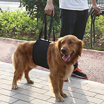 介護ハーネス 老犬介護用 歩行補助ハーネス ペット用 後足用 障害犬 欠陥犬 足腰の弱くなった老犬に 散歩用 登山用 運動用 ブラック (m)