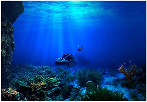 水中バックグラウンド 水中背景 水槽 バックスクリーン 水槽 背景 海の世界模様 粘着素材 装飾 防水 耐久性 お手入れ簡単(91 50cm)