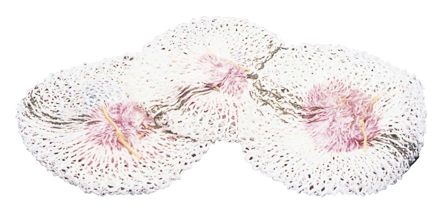 コールマン(Coleman) マントル ルモ型 3枚入り 69532