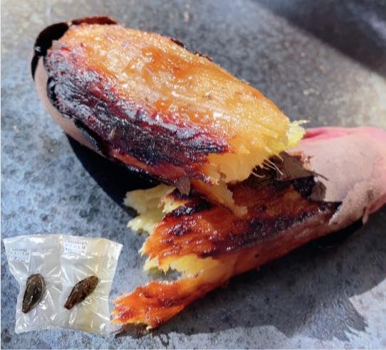 【 熟成焼きいも専門店 やきいも絆】 冷凍焼き芋 甘太くん 500g 大分県産 人気 贈答用 保存用 完熟 さつまいも 焼き芋 やきいも (500g)