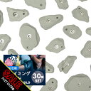 【期間限定★SALE】クライミング ホールド クライミング ボルダリング スポーツクライミング ボルディング スポーツ クライミングホールド アウトドア フリー...