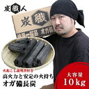 オガ炭 10kg 炭職人 オガ備長炭 高火