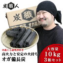 【3セット】炭職人 オガ炭 30kg (10kg×3箱) おが 炭 オガ備長炭 高火力 長時間燃焼 煙少 白炭 オガ備長炭 白炭 高品質オガ炭 納得の燃焼時間と火力 BBQ お花見 キャンプ バーベキュー 薪ストーブ 暖房 飲食店 業務用【yama】