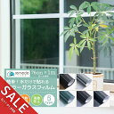 【楽天スーパーSALE】窓ガラスフィルム 1m 紫外線 99% カットフィルム 窓 インテリア おしゃれ カラーガラス カッティングシート カラーシール リメイクシール クリアカラー 透明 UVカット 飛散防止 断熱 日差し 日よけ 西日 遮熱 遮光シート 省エネ 賃貸可能【yama】