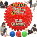 1000円ポッキリ ぽっきり 楽...