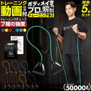 当店限定5つく日クーポン 【5本まとめ買いセット】 トレーニングチューブ | 大人気のトレーニングチューブがお得 筋トレ 器具 筋トレ ダイエット 運動 ストレ...