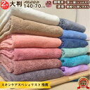 バスタオル セット 大判 薄手 2枚セット 速乾 マイクロファイバー 140×70cm 大きめ 吸水 髪 ふわふわ 洗面所 プール スポーツ 無地 ペット 犬 超吸水 水泳 テニス ハンカチ まとめ買い たおる ドライ ヘア 髪の毛 キッチン 送料無料 ギフト プレゼント レビュープレゼント