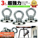 【6/5限定★抽選で2人に1人最大300%ポイントバック★要エントリー】 【楽天1位】 マグネット フック 磁石 超強力 3個 セット マグネットフック リング...