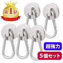 【楽天1位】 マグネ