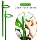 10本セット 園芸用 花ささえ 支柱 30cm 45cm 60cm 観葉植物 ガーデニング 植物支柱 フラワースタンド つる性植物 園芸支柱 フラワー支柱 観葉...