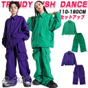 キッズ ダンス 衣装 セットアップ 長袖 ジャケット ジャージ ロングパンツ カーゴパンツ 男の子 女の子 グリーン パープル ダンス衣装 ヒップホップ ジャン...