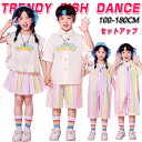 ストライプ柄 サロペット オーバーオール ミニスカート チアガール キッズ ダンス衣装 子供服 可愛い 半袖 トップス プリーツスカート 短パン ショーツ 女の子 男の子 HIPHOP JAZZ 幼稚園 応援団 発表会 舞台服 個性派 K-POP 演出服 練習着 団体服 ステージ衣装 110-180cm