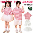 チェック柄 ピンク ホワイト ミニスカート チアガール キッズ ダンス衣装 子供服 可愛い 半袖シャツ メッシュスカート 短パン ショーツ 女の子 男の子 HIPHOP JAZZ 幼稚園 合唱団 応援団 発表会 舞台服 個性派 K-POP 演出服 練習着 団体服 ステージ衣装 100-180cm