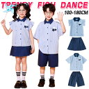 ストライプ柄 ブルー ネイビー ミニスカート チアガール キッズ ダンス衣装 子供服 可愛い 半袖トップス プリーツスカート 短パン ショーツ 女の子 男の子 HIPHOP JAZZ 幼稚園 合唱団 応援団 発表会 舞台服 個性派 K-POP 演出服 練習着 団体服 ステージ衣装 100-180cm