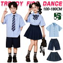チアガール ストライプ柄 ブルー ネイビー ミニスカート キッズ ダンス衣装 子供服 可愛い 半袖シャツ トップス プリーツスカート 短パン ショーツ 女の子 男の子 HIPHOP JAZZ 幼稚園 合唱団 応援団 発表会 舞台服 個性派 K-POP 演出服 練習着 団体服 ステージ衣装 100-180cm