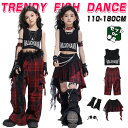 キッズダンス衣装 へそ出し 赤黒チェック ノースリーブ ヒップホップスタイル 舞台演出服 サッカー風 子供 ダンスウェア パンツセット 女の子 お揃い ステージ衣装 かっこいい HIPHOP 舞台服 個性派 K-POP 演出服 練習着 団体服 ステージ衣装 オシャレ 110-180cm