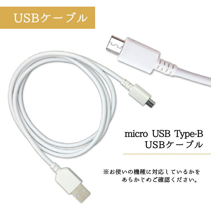 ZenFone3Max ZC520TL micro USB Type-B android 専用 カーチャージャー 3.1A 2ポート USBケーブル 2本付 車載充電器 車 充電器 充電ケーブル シガーソケット usb LEDライト スマホ 充電 DC12V DC24V zenfone3 max ゼンフォン3マックス