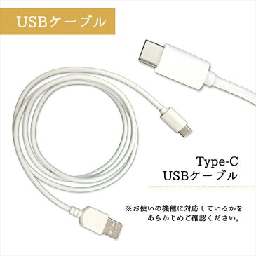 XPERIA 10 II SO-41A SOV43 A001SO Type-C 専用 カーチャージャー USBケーブル 2本付 シガーソケット 車載充電器 2ポート 2口 3.1A 充電器 充電ケーブル 車 typec usb LEDライト スマホ 充電 12V 24V エクスペリア10II so41a au docomo Y!mobile