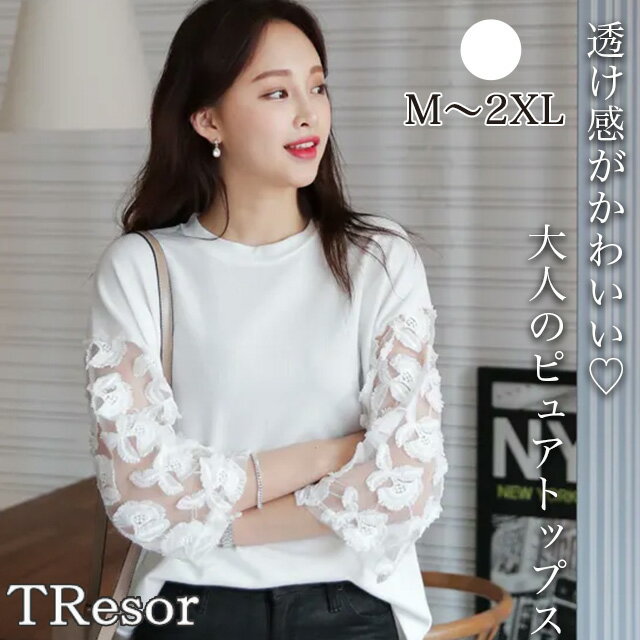 �ȥåץ� ��ǥ����� �� �� �� ���åȥ��� ����T Ĺµ T����� �����奢�� ���� ���󥰾� ����˥å� �η����С� µ���� ��ä��� ��뤤 �餻�Ƹ�����...