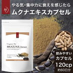 ムクナエキスカプセル 500mg×120 カプセル 約60日分 【1個/2個/3個】 無添加 無農薬栽培 アーユルヴェーダ サプリメント アミノ酸 疲労回復 【メール便】