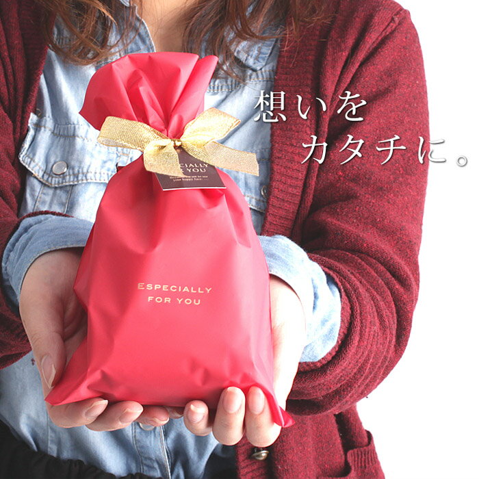 【大好評のラッピング】 プレゼント ギフトラッピングサービス 色が選べる マット素材ナイロンバッグ レッド&ブラウン GIFTPAUCH[贈り物 プレゼント 手...