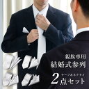 【親族専用 結婚式 参列 2点セット】 ネクタイ チーフ セット シルバー フォーマル メンズ 洗える 参列 親族 叔父 従兄弟 兄弟 祖父 お父さん おじいち...
