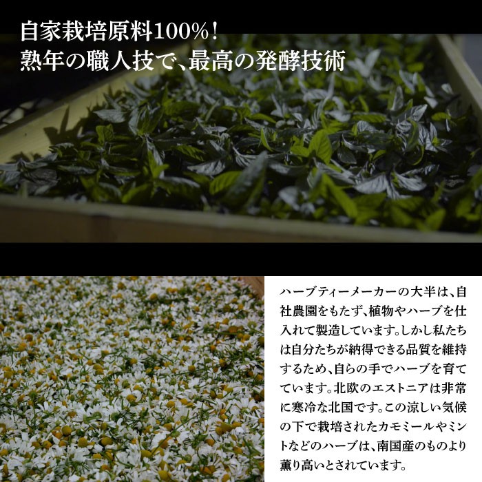 �̲���ࡡ�������˥å����ϡ��֥ƥ��������ڥ��ߥ�ȡ�0.8g��10���