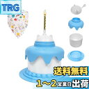Ddomijoy ペット誕生日飾り付け ネコ 猫 ペット用 コンビネーション食器 スローフードボウル 缶詰の蓋 フードストッカー 誕生日グッズ バースデーケーキ...