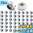 TAORAYO 50個入 六角ロックナット ナイロン ロック ナット ナイロンナット ナイロンロックナット 304ステンレス鋼 止めナット 六角ヘッド ナット ...