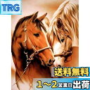 【送料無料】Reofrey ダイヤモンドの絵画 馬, ダイヤモンドアート クロスステッチ キット 動物, 手作りキット 全面貼り付けタイプ ビーズア DIY 手芸キットホーム レストラン ラインストーン ホーム 壁掛け 装飾品 30x40cm