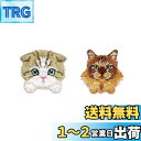 SSYSSY 刺繍 ワッペン アイロン接着両用タイプ ?物 猫 2個入 手芸 DIY用品 (A003)