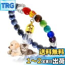 ペット 猫 犬 遺骨 肉球 メモリアル ブレスレット キーホルダー カプセル アクセサリー 弾力持ち おしゃれ かわいい 人気 ロケット 骨入れ 携帯型 ペンダ...