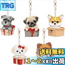MAEXUS ダイヤモンドアート キーホルダー【 5個セット】DIY キーホルダー 5Dダイヤモンド塗装キット ダイアモンドビーズ キーホルダー 両面全貼り付け...