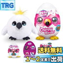 ZURU Pets Alive Chirpy Birds (ホワイトオウム) しゃべる電子ペット 巨大なサプライズエッグ ステッカー くし ふわふわ粘土 鳥 動物 ぬいぐるみ 女の子