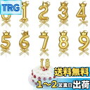 KALOLINNA クラウンバースデーナンバーキャンドル 0〜9 10点セット ロウソク 数字 誕生日を祝う 高級 ろうそく おしゃれ スタイリッシ 記念日キャ...