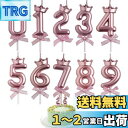 KALOLINNA クラウンバースデーナンバーキャンドル 0〜9 10点セット ロウソク 数字 誕生日を祝う 高級 ろうそく おしゃれ スタイリッシ 記念日キャ...