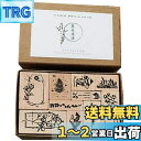 dilib 木製ゴム印セット 植物 花 木 スタンプ ゴム印 判子 ハンコ 可愛い かわいい スタンプセット スクラップブッキング イラスト クラフトカード 手...