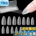 FINGOOO ネイルチップ 超薄 300枚 ロング クリア 長さ出し ミディアム 長さだし 付け爪 つけ爪 自然なフィット感 密着 (ポイントXL)