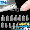 FINGOOO ネイルチップ 超薄 300枚 ショート 短め クリア ミディアム 付け爪 つけ爪 自然なフィット感 密着 (ポイントS)