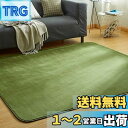 VK Living カーペット ラグ ラグマット 絨毯 200×250cm(約3畳) 滑り止め 洗える 防ダニ 抗菌 防臭 オールシーズン 床暖房 ホットカーペット対応 簡単に掃除 おしゃれ 北欧 フランネルラグ グリーン