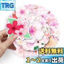 Lakymisy ステッカー 桜 シール 100枚セット 大容量 防水 手帳シール 50種類 かわいい ピンクの花 桃の花 桜吹雪 シール ご褒美シール 手帳 ...