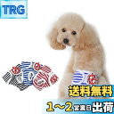 PETEMOO 犬オムツ 犬用サニタリーパンツ 3枚 洗える 再利用可能 生理用 パンツ 女の子用 雌犬用 発情期用 生理パンツ