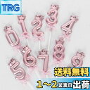 DELUXEFOX バースデー キャンドル 10点セット バースデー ナンバー キャンドル 誕生日 お祝い 誕生日キャンドル 数字型 ins 高級 ろうそく 誕...