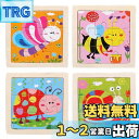 DELUXEFOX 木製パズル 4枚セット 型はめパズル 赤ちゃん モンテッソーリ 知育玩具 2 3 4 5 歳幼児早期開発 形合わせ 形認識 色認知 色彩感覚...