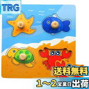 DELUXEFOX 木製パズル 型はめパズル 赤ちゃん モンテッソーリ 知育玩具 1 2 3 歳幼児早期開発 形合わせ 形認識 色認知 色彩感覚 脳トレ おもち...